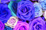 Colorful Roses Bouquet