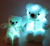 Luminous Teddy Bear